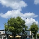 수정화원 이미지