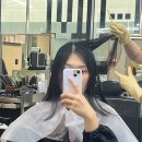 [서울 역삼 미용실 추천] 몬도서울, 히피펌 중단발 후기
