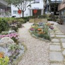 서대문구보건소 이미지