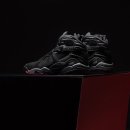 레드블랙짐 이미지