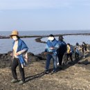 조성농장 이미지