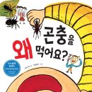 [큰북소리 새로 나온 책] 곤충을 왜 먹어요? 이미지