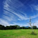 선학목장 이미지