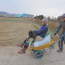 강진 소소원 이미지