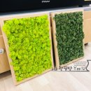 어람초등학교(병설) 이미지