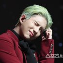 와우29 스포츠서울
