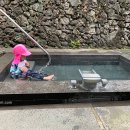 진미생고기 이미지