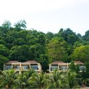 스위트카 이미지