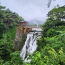 제천시 의림지 주차장 이미지