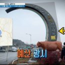 프리한19, 맛있는 골목19, 15위, 14위, 13위