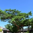 현대원서공원 Daum카페