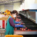 무주 농산물산지유통센터 이미지