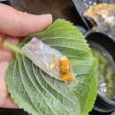 참바다회(독도수산) | 경기광주 능평동 횟집 추천 참바다회 독도수산