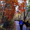 금곡영화마을 매점화장실 이미지
