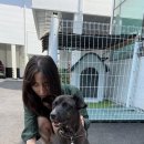 해머 717 이미지