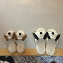 작가의숲 | 곡성 독채 감성 숙소 추천 숲속 ‘작가의 작업실’ 내돈내산 솔직 후기(장단점 포함)