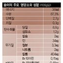 버섯과면역 이미지