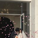 윌리아willrea