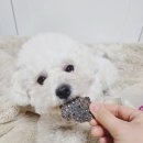졸리멍
