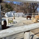 강인목장 이미지