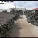 서귀동-22 이미지