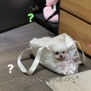 베이글 버트 그루밍 이미지