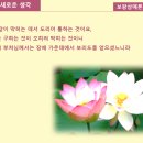 신정식한의원 이미지