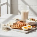 와일드인터내셔널 | 독일 PM쥬스 단백질 웨이 프로쉐이프 효능