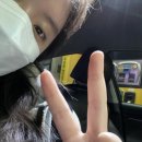 아띠펫살롱 이미지