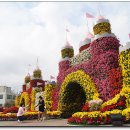 전북익산- 행복 그리고 기쁨을 전하는 익산 천만송이 국화축제 이미지