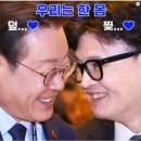 ◆＜一讀＞개보다 못한 한동훈이 출마한다고? 이미지