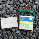 솔로몬태양광발전소 이미지