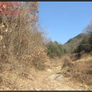신암2리(가성)경로당 | [토지(임야)경매 낙찰비법] 2018타경 6999Ð경북 김천시 봉산면 신암리 산28 경매 수익성분석