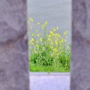 남천강변로 이미지