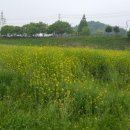 벌꿀모텔 이미지