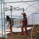 학운초등학교 이미지