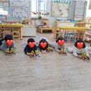 숲속늘푸른어린이집 | 자연 속에서 배우는 구미숲어린이집, 늘푸른몬테소리와 함께하는 두 배 성장 이야기