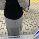 [임산부 여름옷 추천] 스커트&팬츠 출근룩 임부복 모음 (루시드라잇 카프리/마리벨, 메리어라운드)