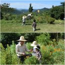 성규농장 이미지