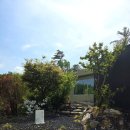 산온잔등 이미지