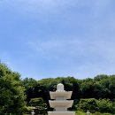 [파주 당일치기] 소원성취 명소 파주 약천사 방문 후기