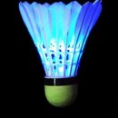 배드민턴(야간) 이미지