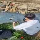 외국인주민지원본부 화장실 | 제2기김해시외국인주민서포터즈확대운영/ 김해시,설연휴환경오염특별감시단속/ 김해시,제1회문화관광...