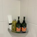 스테이유을 이미지