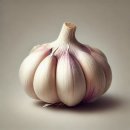 홍산섬유 이미지