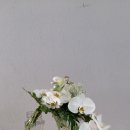 유성호텔 이미지