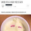 송이#(송이샵)