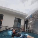 김삿갓면-23 티스토리