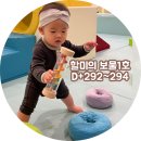 하연옥수수 | 할미의 육아일기 보물1호🧡 D+292~294 걸음마가 시작되었다.