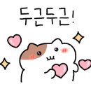 파충류샵참크레